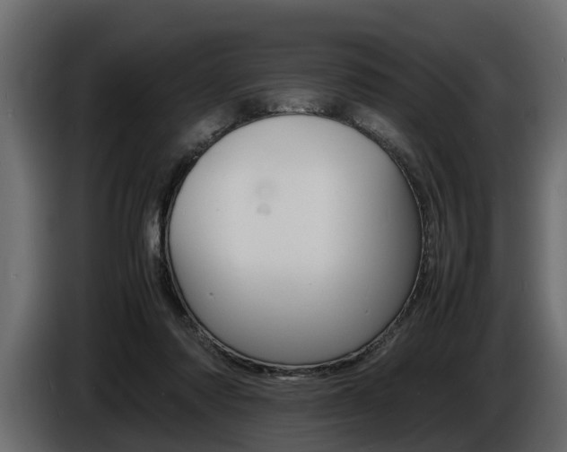 X0000086720310200704130733