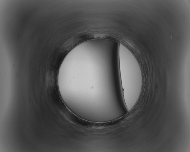 X0000086720311200704130733