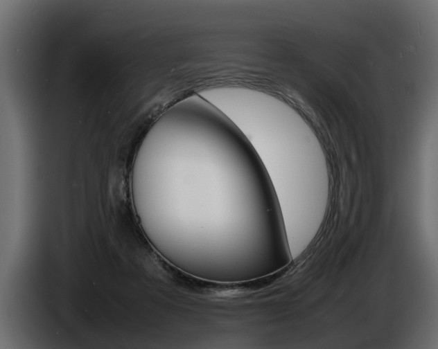 X0000086720313200704130733