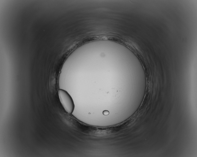X0000086720314200704130733