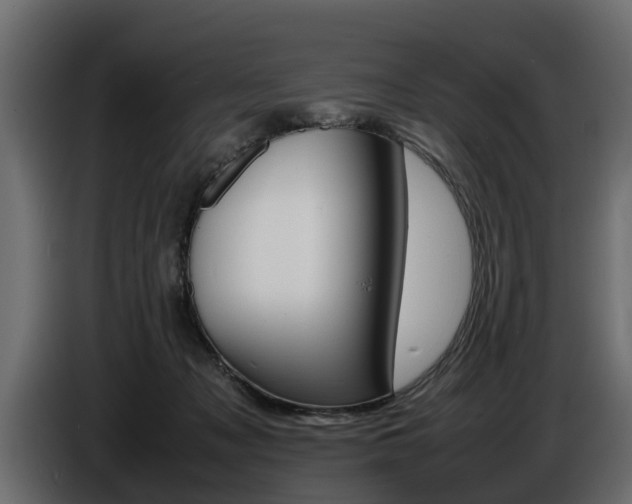 X0000086720317200704130733