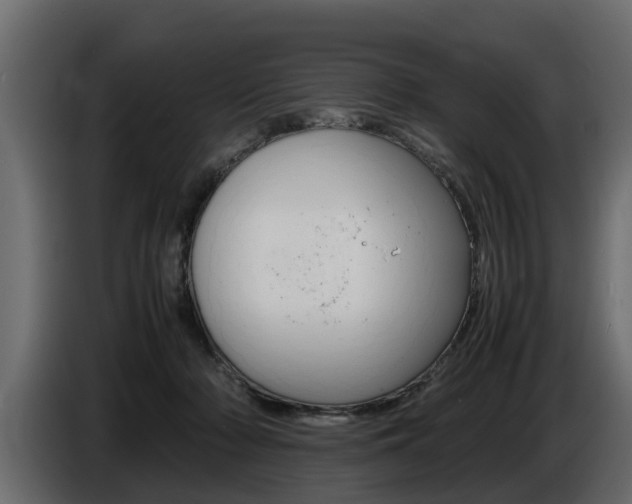 X0000086720318200704130733