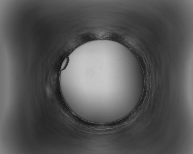 X0000086720319200704130733