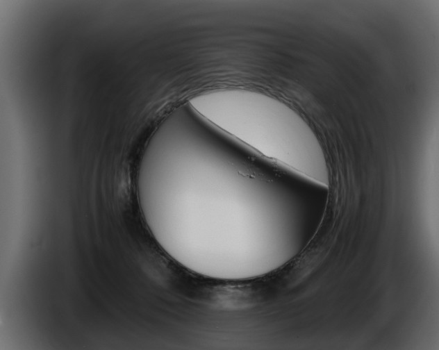X0000086720320200704130733