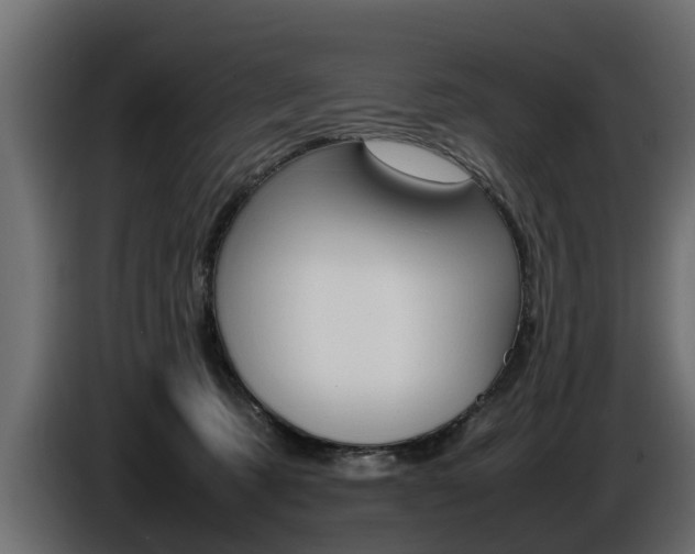 X0000086720321200704130733
