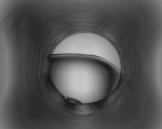 X0000086720325200704130733