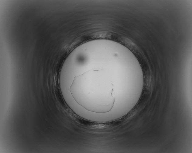 X0000086720326200704130732