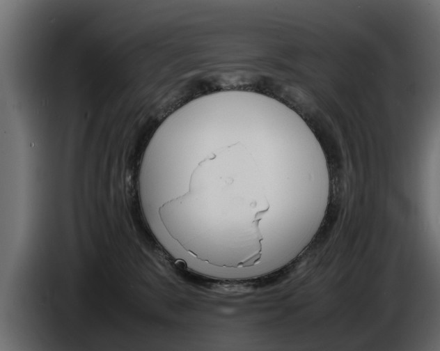 X0000086720327200704130732