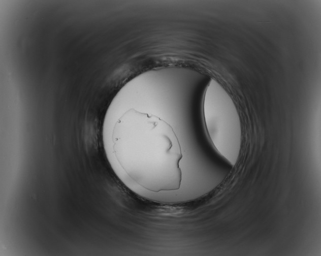 X0000086720328200704130732