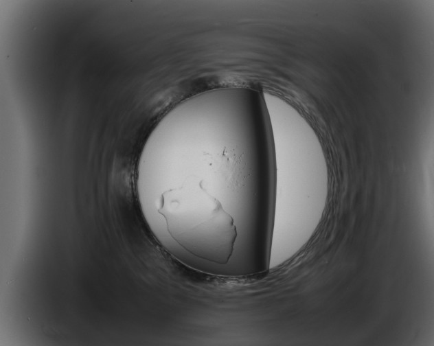 X0000086720329200704130732