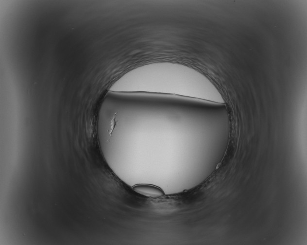 X0000086720331200704130732
