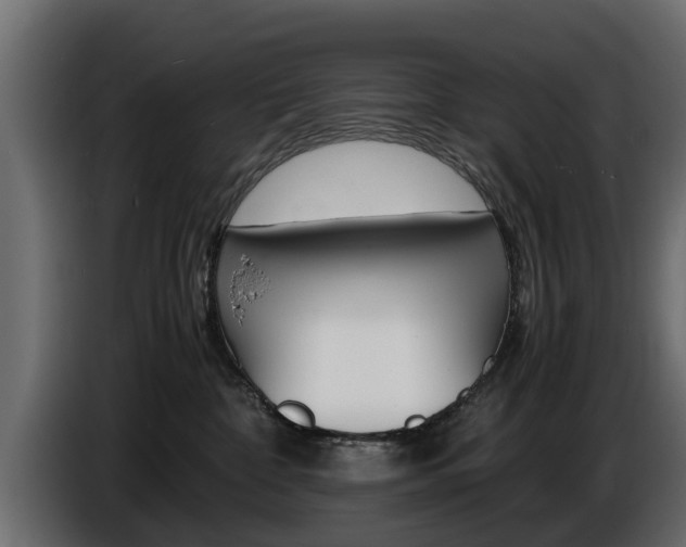 X0000086720332200704130732