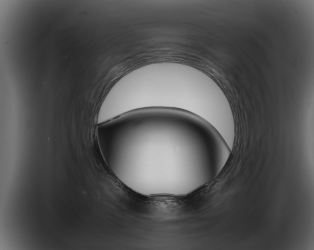 X0000086720333200704130732