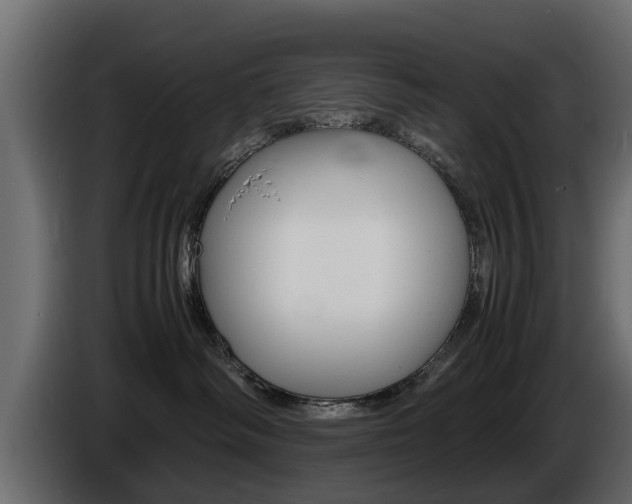 X0000086720334200704130732