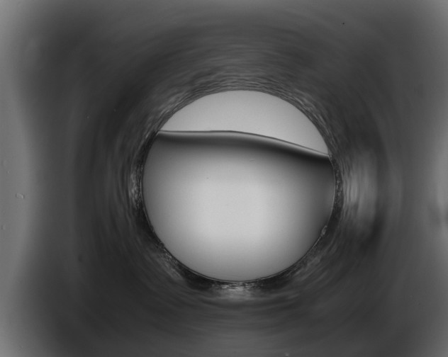 X0000086720335200704130732