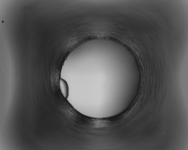 X0000086720336200704130732