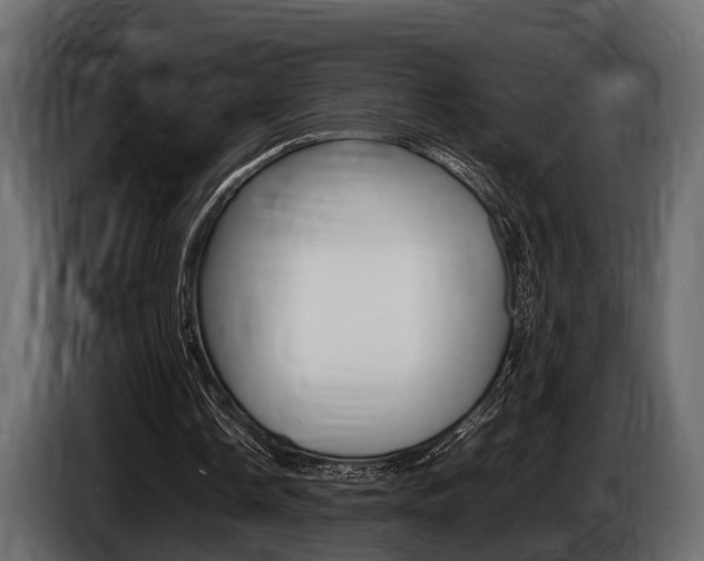 X0000086720338200704130732