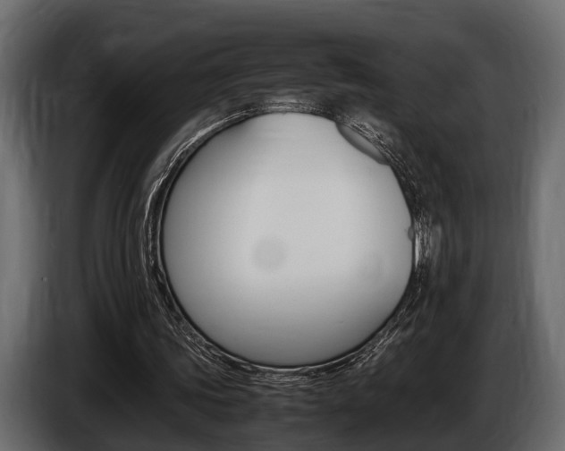 X0000086720339200704130732