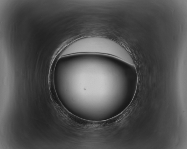 X0000086720340200704130732