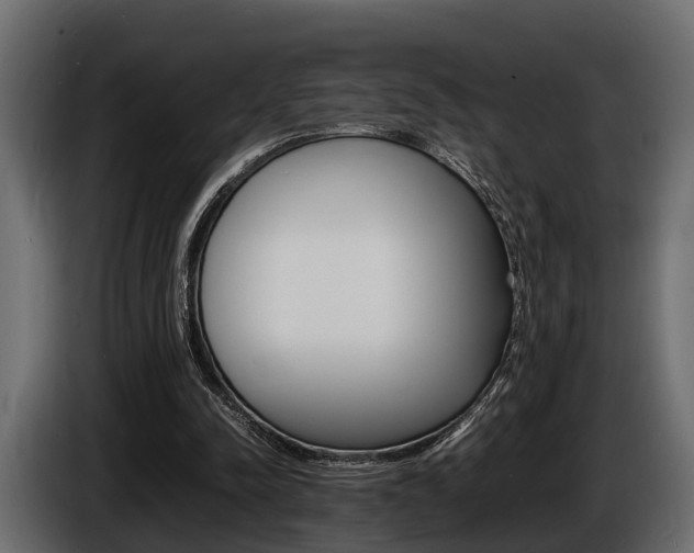 X0000086720342200704130732