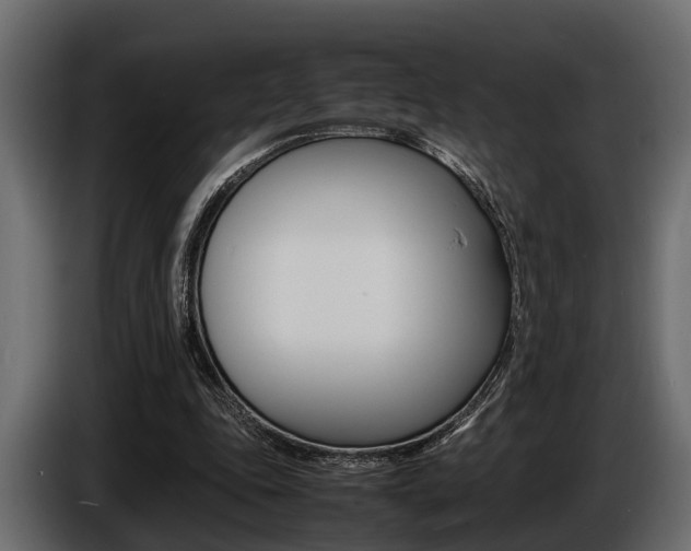 X0000086720343200704130732