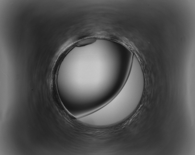 X0000086720344200704130732