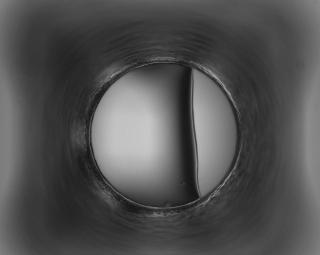 X0000086720345200704130732
