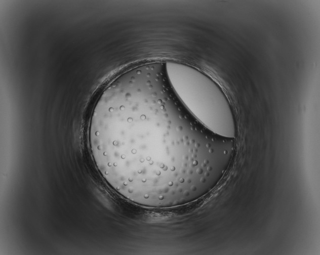X0000086720346200704130732