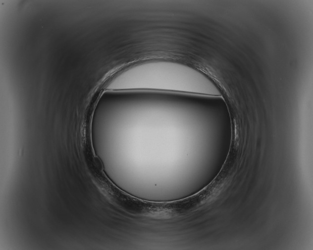 X0000086720348200704130732