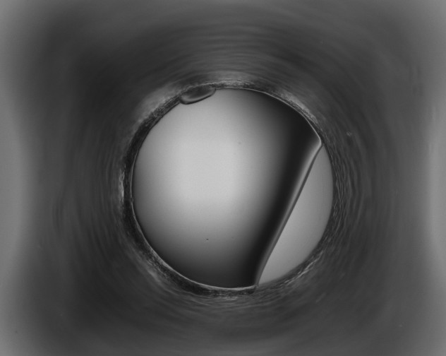 X0000086720350200704130732