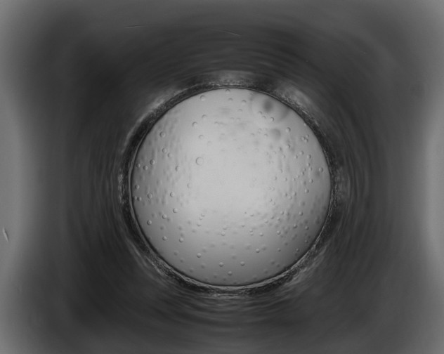 X0000086720351200704130732