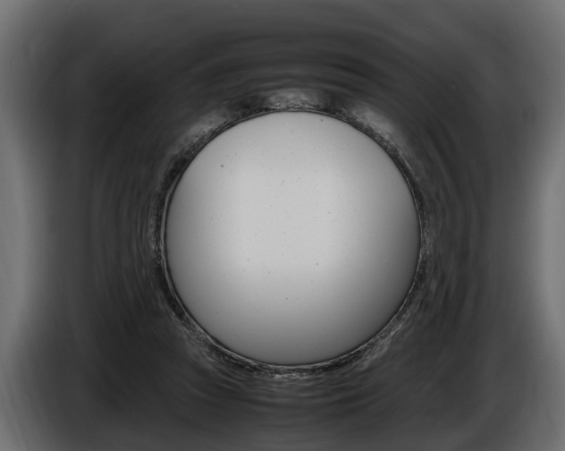 X0000086720353200704130732