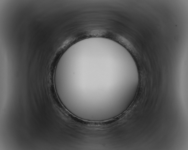 X0000086720354200704130732