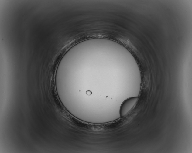X0000086720355200704130732