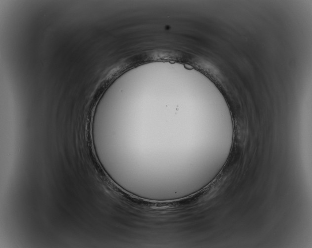 X0000086720357200704130732