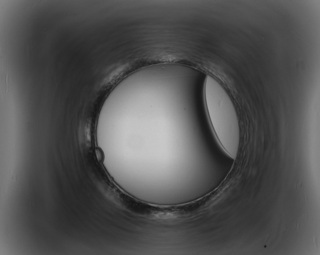 X0000086720358200704130732
