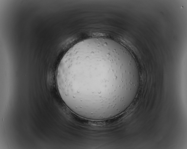 X0000086720359200704130732