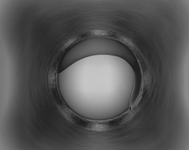 X0000086720360200704130732