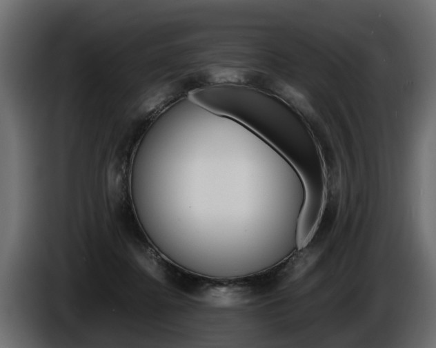 X0000086720364200704130732