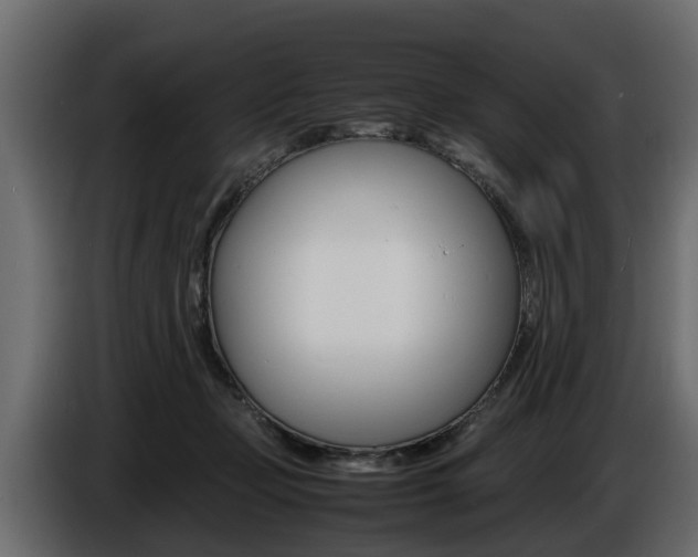 X0000086720365200704130732