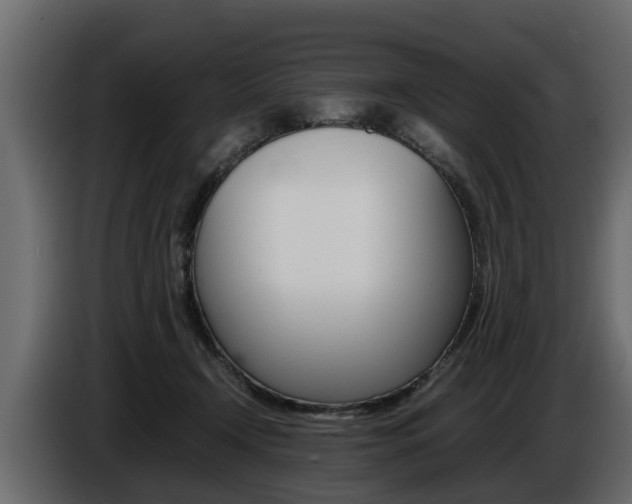 X0000086720366200704130732