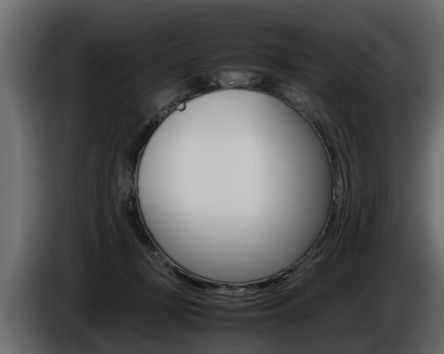 X0000086720367200704130732