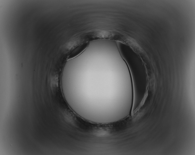 X0000086720368200704130732