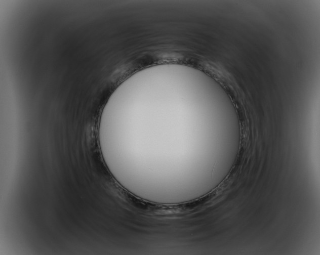X0000086720369200704130732