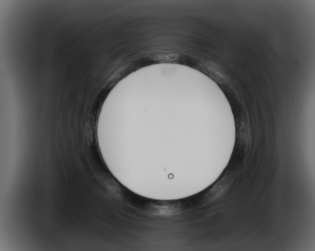 X0000086720370200704130732