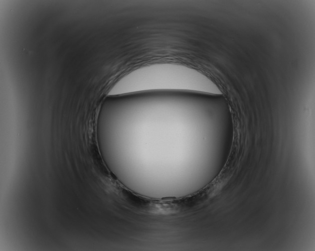 X0000086720372200704130732