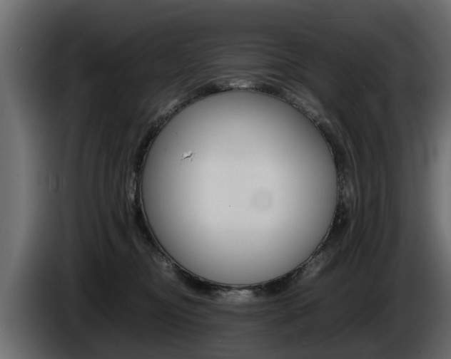 X0000086720374200704130732