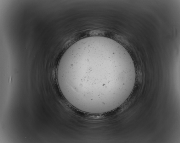 X0000086720375200704130732