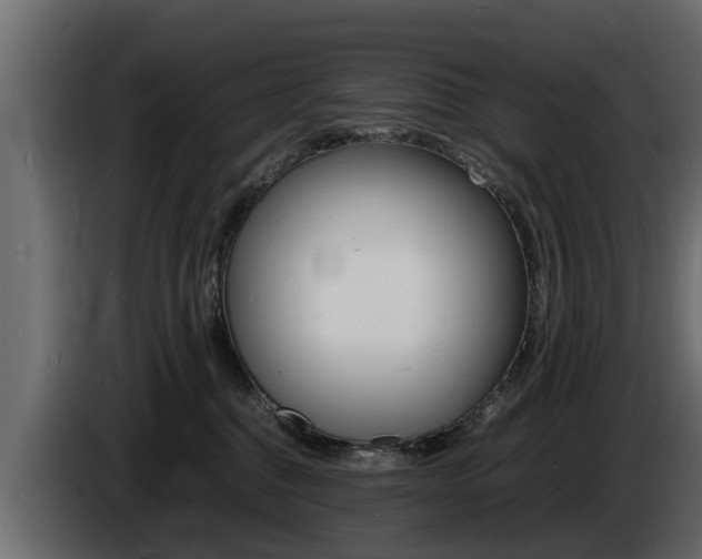 X0000086720376200704130732