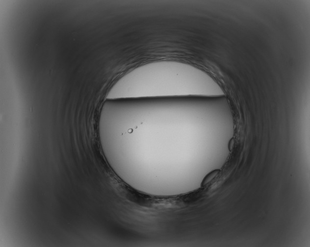 X0000086720377200704130732